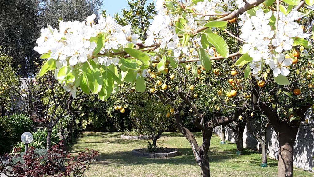Villa Kalimera Sorrento Bagian luar foto
