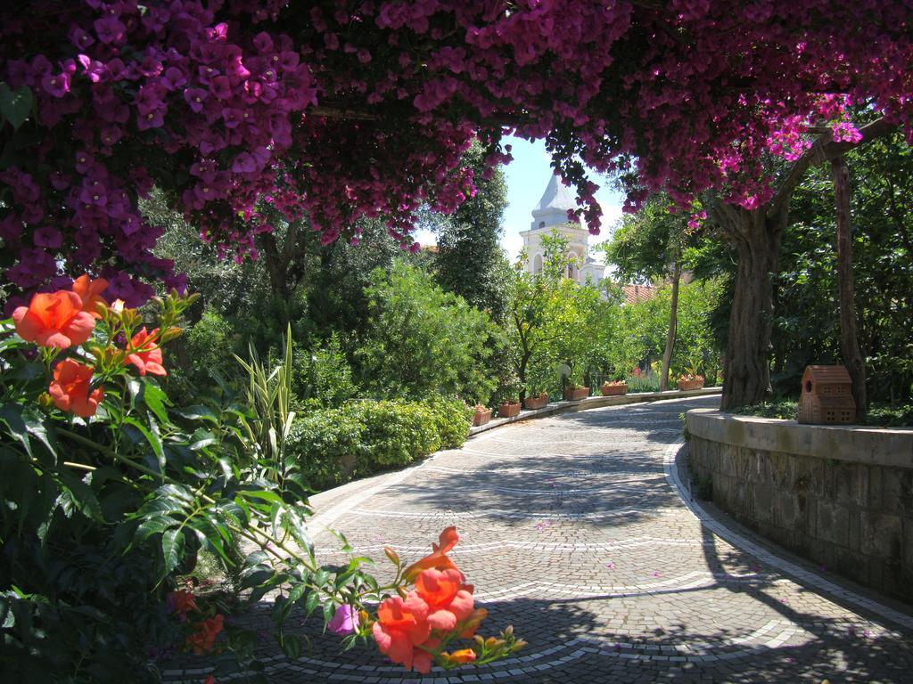 Villa Kalimera Sorrento Bagian luar foto