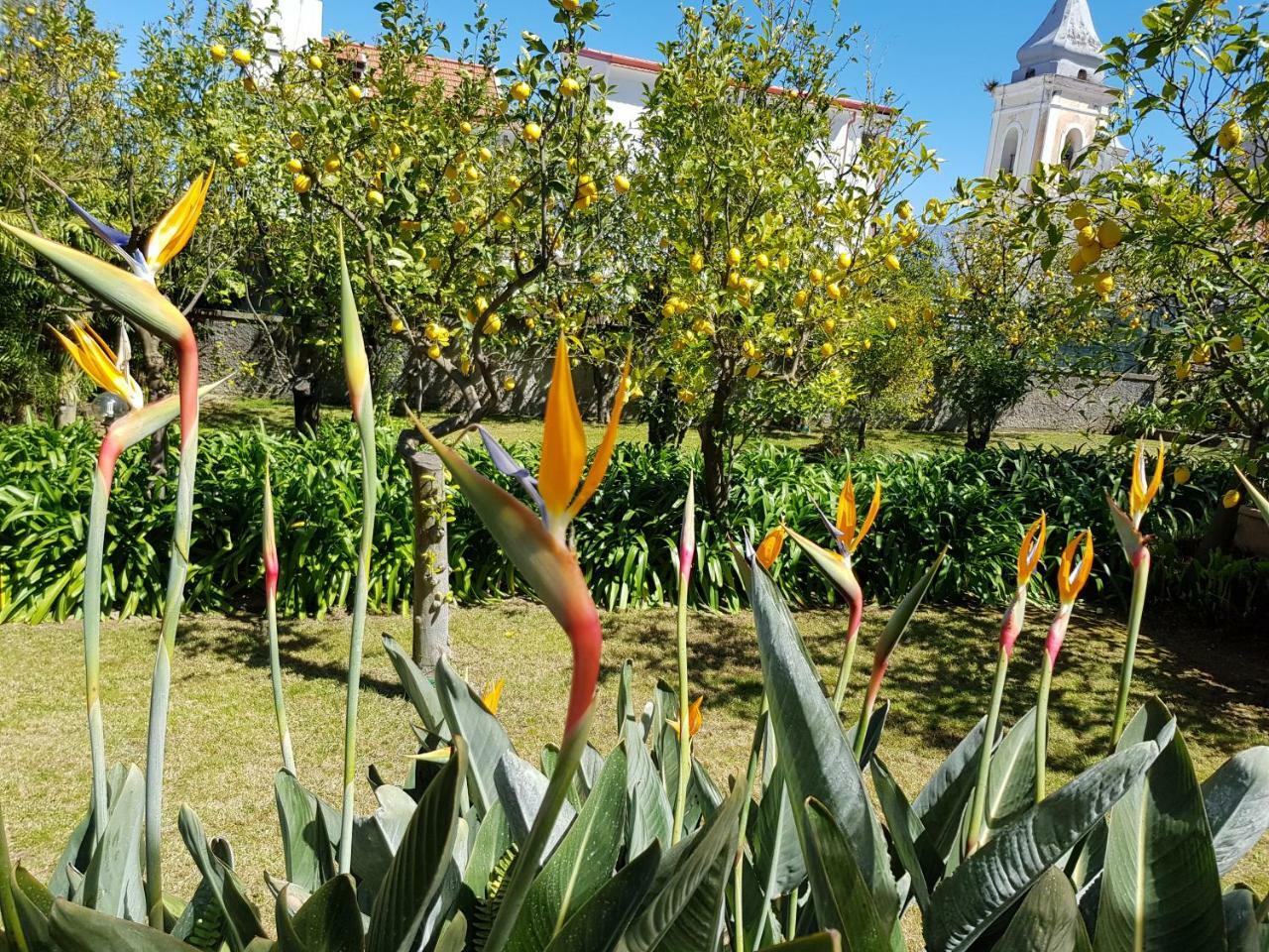 Villa Kalimera Sorrento Bagian luar foto