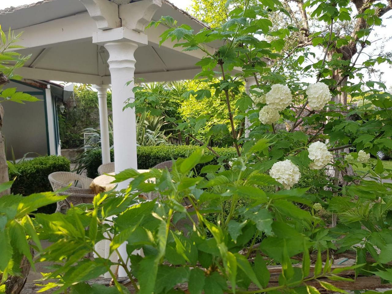 Villa Kalimera Sorrento Bagian luar foto