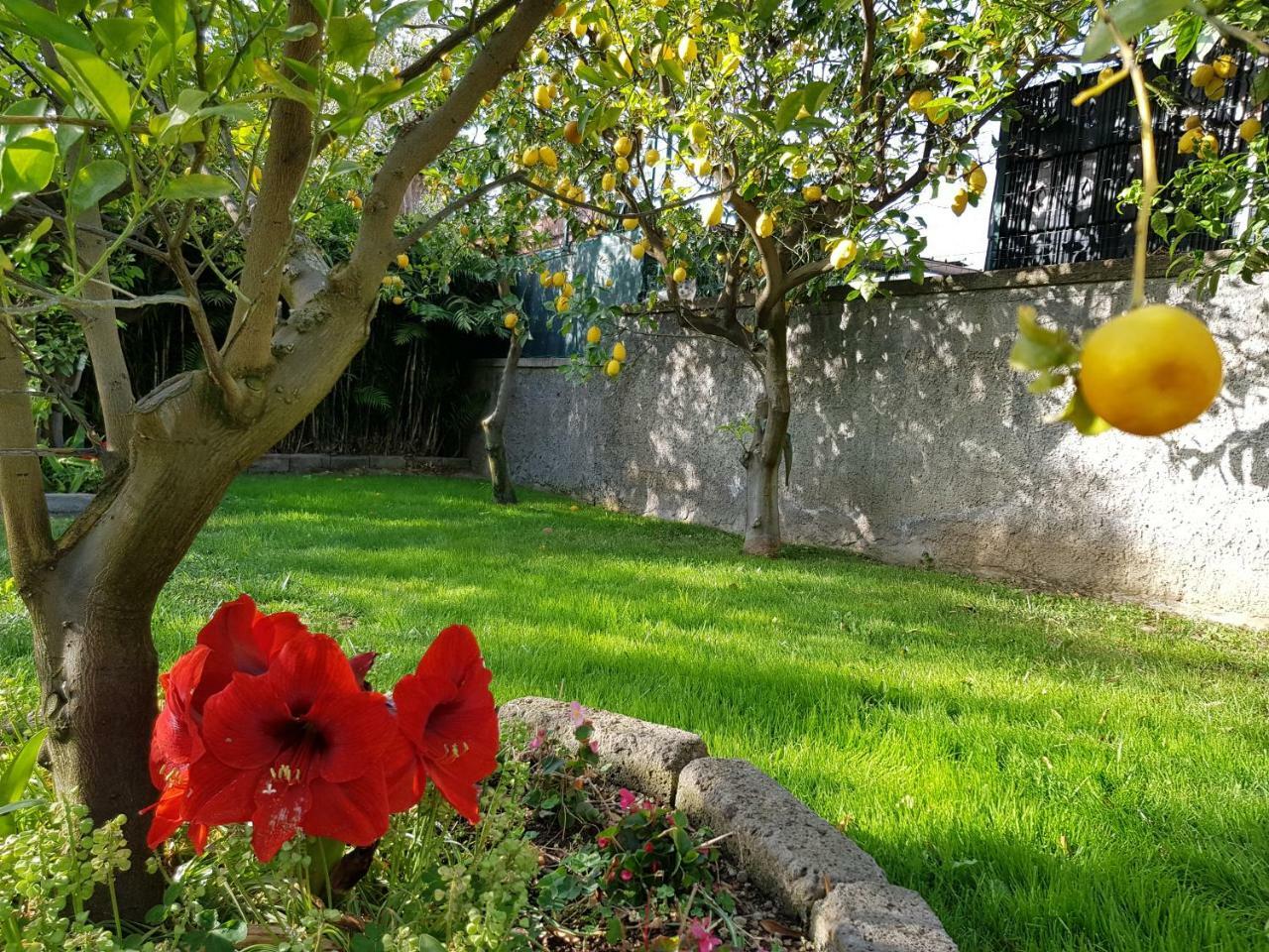 Villa Kalimera Sorrento Bagian luar foto