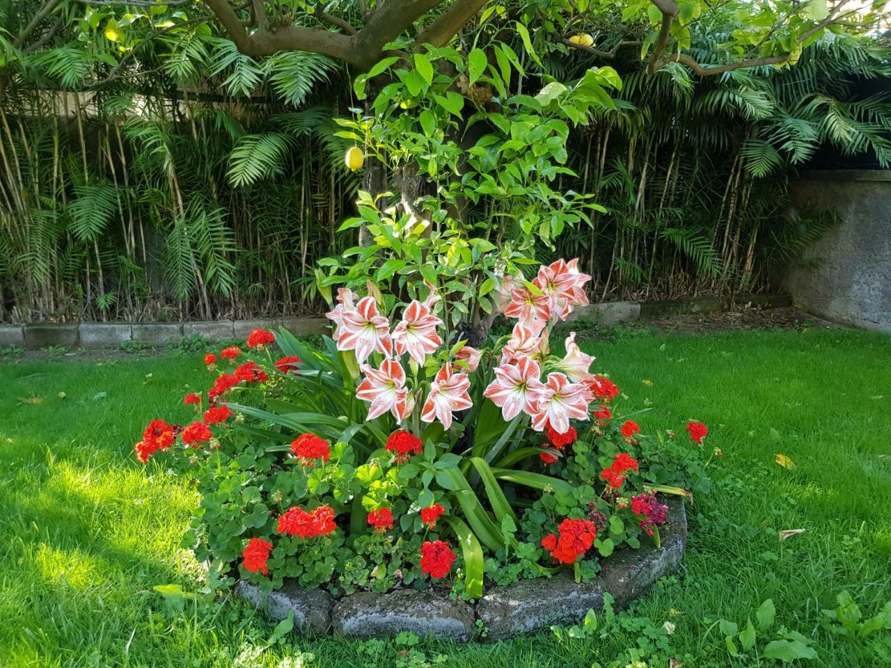 Villa Kalimera Sorrento Bagian luar foto
