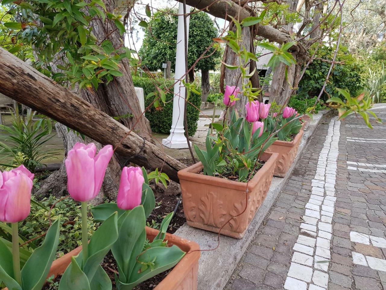 Villa Kalimera Sorrento Bagian luar foto