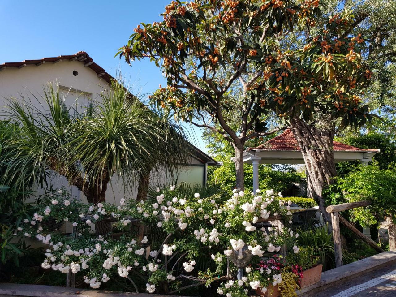 Villa Kalimera Sorrento Bagian luar foto